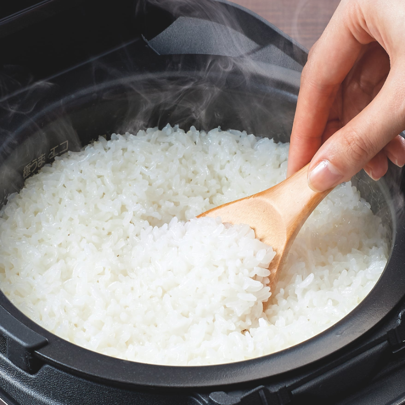 TIGER タイガー ご泡火炊き 圧力IHジャー炊飯器 5.5合 オフブラック JRI-G100KO オフブラック 5.5合