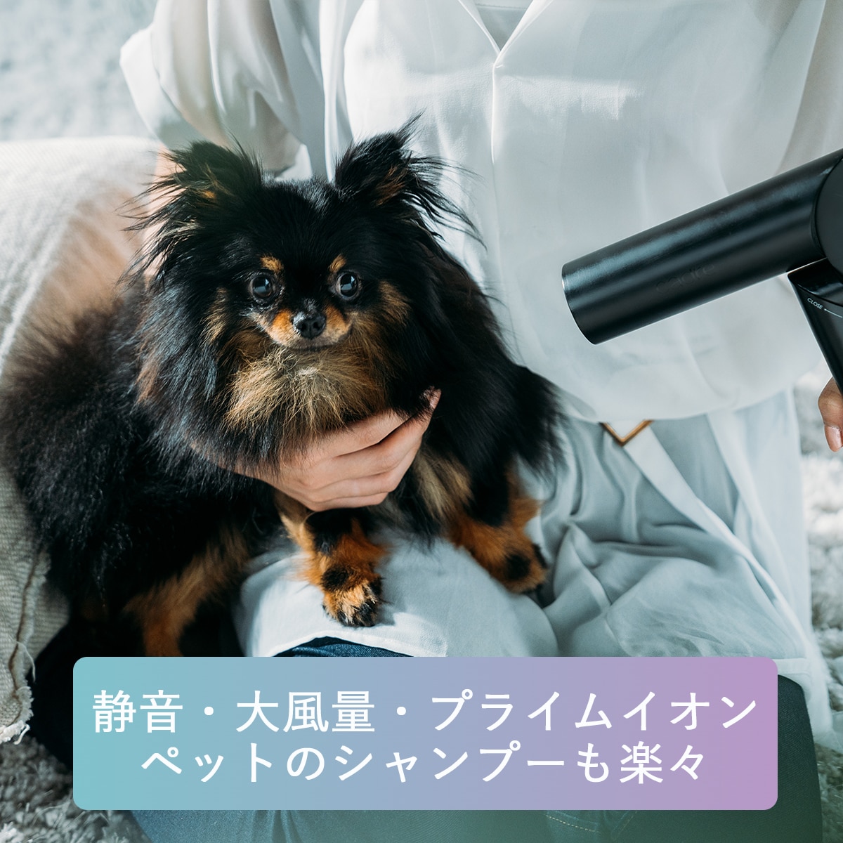 cadre カドレ hair dryer ブラック(ブラック): ワイ・ヨット JAL Mall