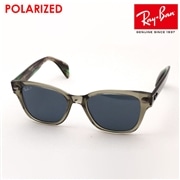 レイバン 偏光サングラス Ray-Ban RB0880SF 66353R
