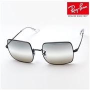 レイバン サングラス Ray-Ban RB1971 004GH