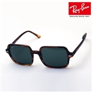 レイバン サングラス Ray-Ban RB1973 95431