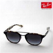 レイバン サングラス Ray-Ban RB2183 12268G