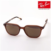 レイバン サングラス レオナルド Ray-Ban RB2193F 663693