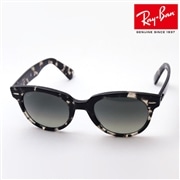 レイバン サングラス オリオン Ray-Ban RB2199 133371