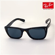レイバン サングラス カリビアン Ray-Ban RB2248 902R5