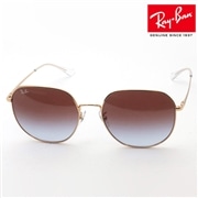 レイバン サングラス Ray-Ban RB3680D 9202I8