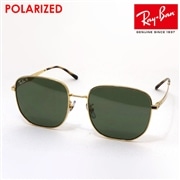 レイバン 偏光サングラス Ray-Ban RB3713D 0019A