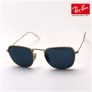 レイバン サングラス フランク Ray-Ban RB3857 9196R5