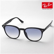 レイバン サングラス Ray-Ban RB4259F 60119