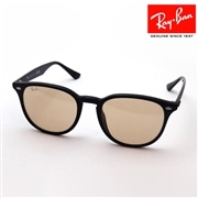 レイバン サングラス Ray-Ban RB4259F 60193