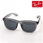 レイバン サングラス Ray-Ban RB4260D 645087