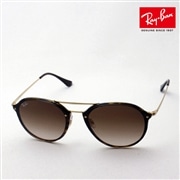 レイバン サングラス Ray-Ban RB4292N 71013