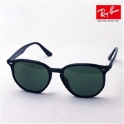 レイバン サングラス Ray-Ban RB4306F 60171