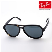 レイバン サングラス Ray-Ban RB4355 902R5