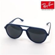 レイバン サングラス Ray-Ban RB4376F 669487