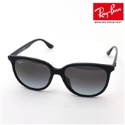 レイバン サングラス Ray-Ban RB4378F 6018G
