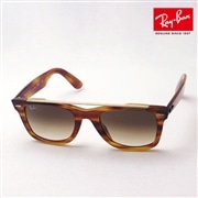 レイバン サングラス Ray-Ban RB4540F 641351