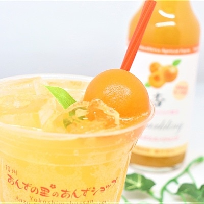 【お取り寄せ】【WRN】横島物産 特選杏スパークリング 310ml×6本入 | 沖縄離島配送不可