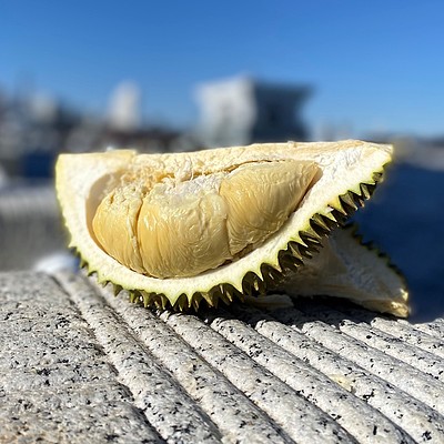 【お取り寄せ】【W】かをり果樹園 ドリアンアイスクリームココナッツミルク 6個 | 沖縄・離島配送不可