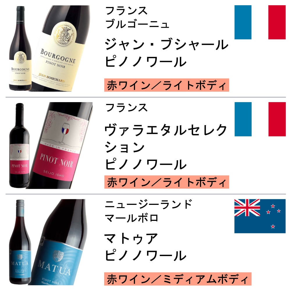 R604 世界のピノノワール6本セット 4500ml
