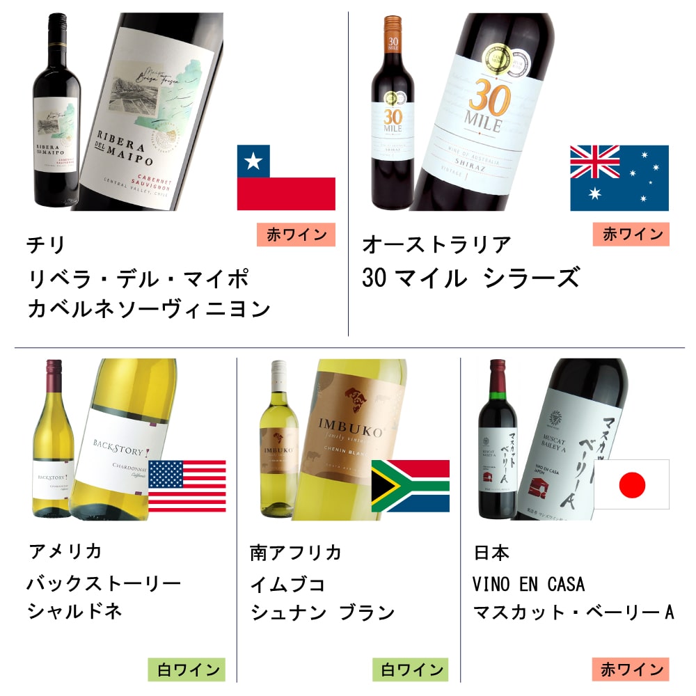 ★ワインで楽しむ世界一周セット 750ml×10本 【DB】