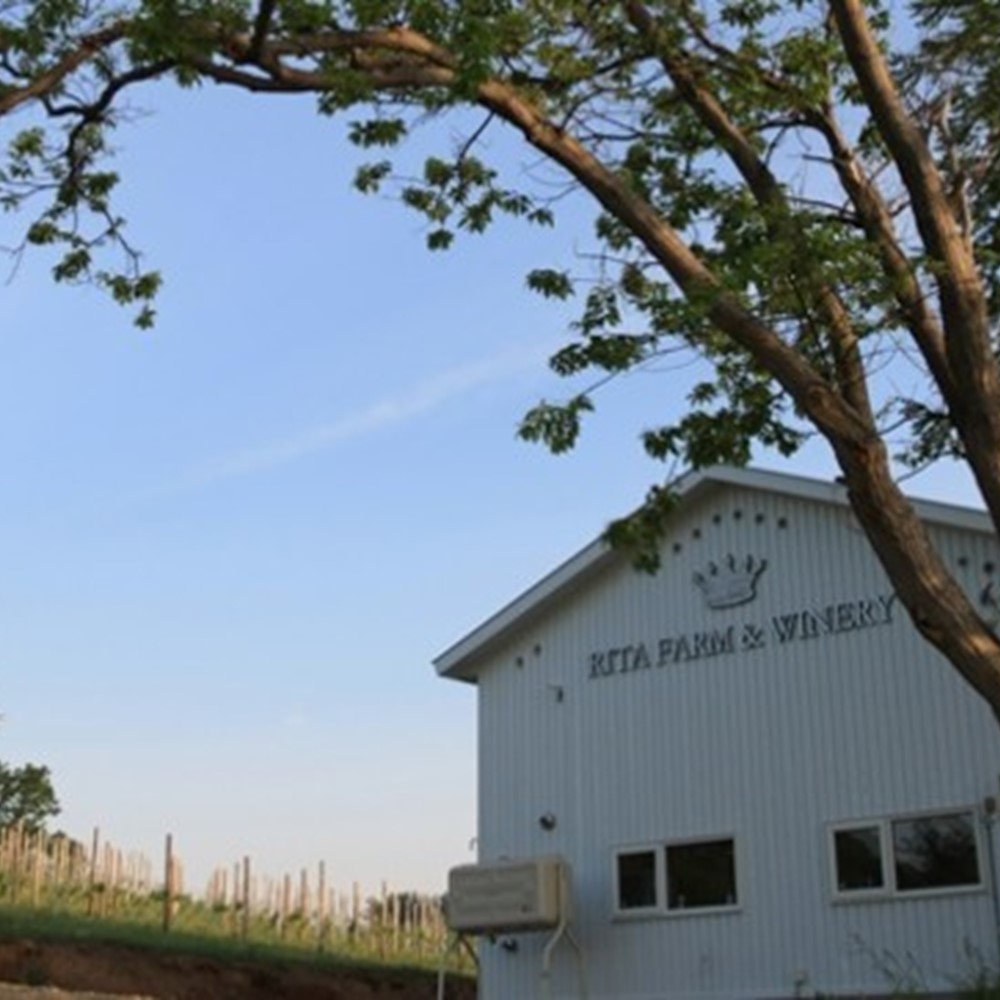 リタファーム&ワイナリー 十六夜ナイアガラ 2024 750ml