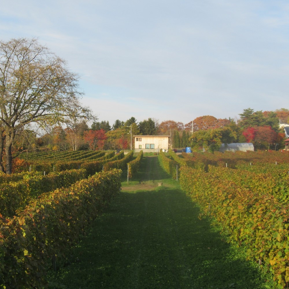 えべおつWein ほのか der Schimmer 750ml