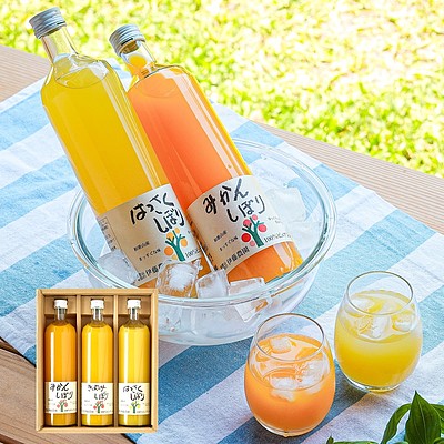 【お取り寄せ】【WF】伊藤農園 100%ピュアジュース 750mlx3本 ギフトセット