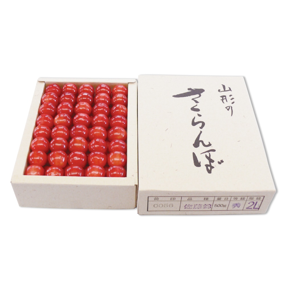 【お中元】【WNF】山形県村山地区 さくらんぼ「佐藤錦」化粧箱 約500g(2Lサイズ) | 着日指定不可 / 沖縄・離島配送不可 / 6月中旬より順次お届け
