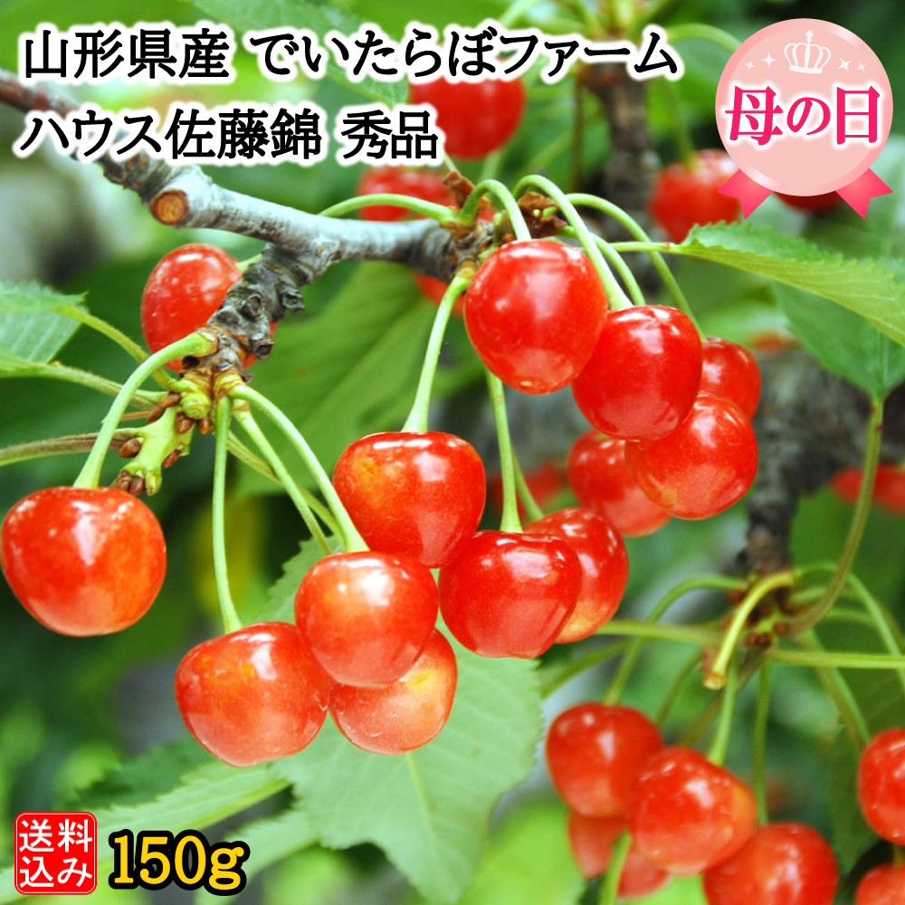 【母の日ギフト】【WF】山形県 でいたらぼファーム ハウス佐藤錦 秀品 150g Lサイズ・24粒・化粧箱入 | 着日指定不可 / 沖縄・離島配送不可