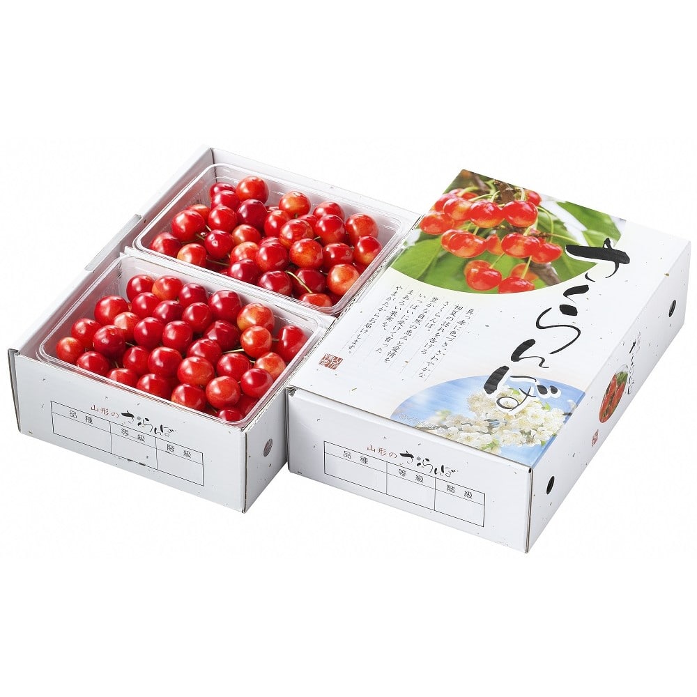 【お取り寄せ】【WNF】山形県産 佐藤錦 500g×2パック | 着日指定不可 / 沖縄・離島配送不可 / 6月上旬より順次お届け