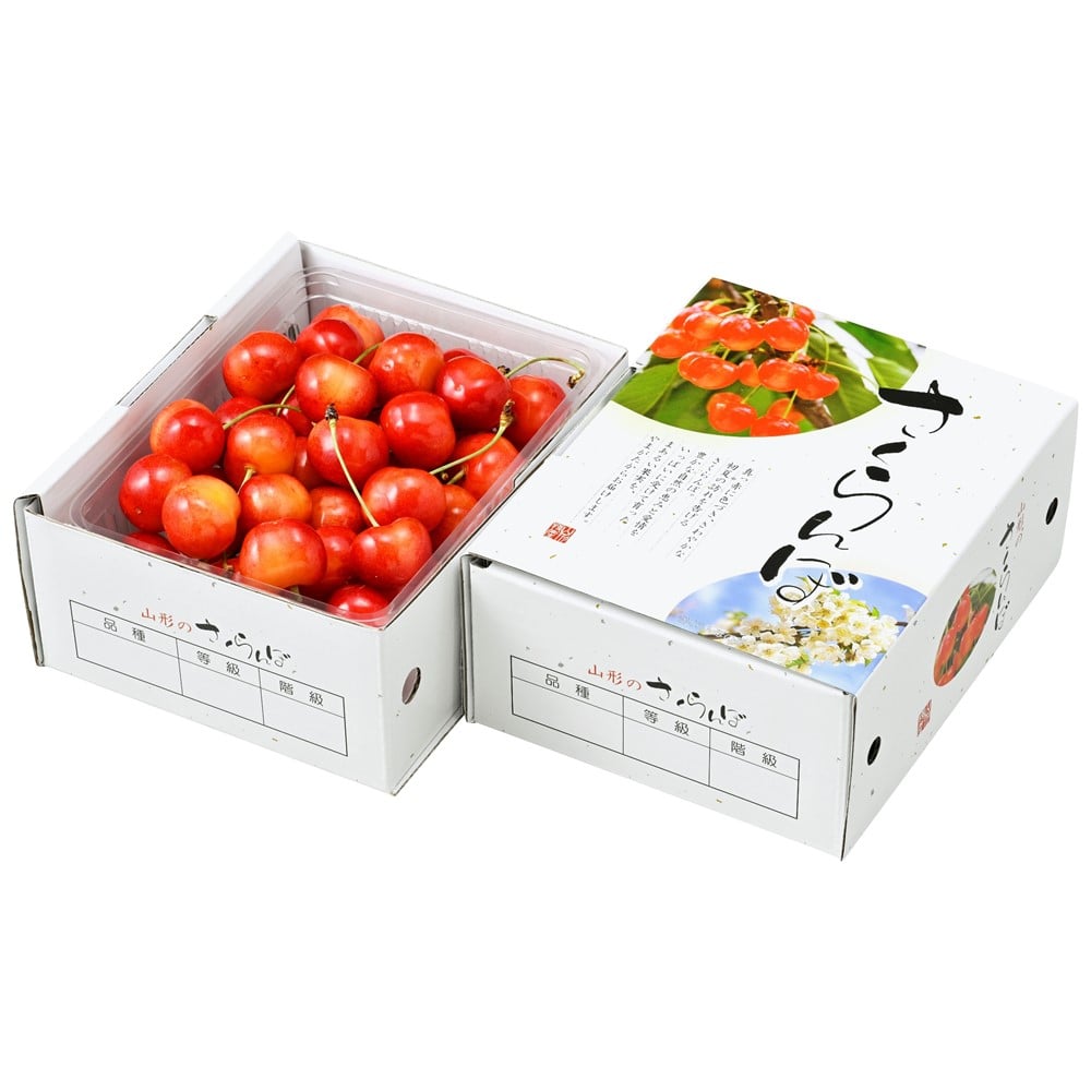 【お取り寄せ】【WNF】山形県産 やまがた紅玉 約500g | 着日指定不可 / 沖縄・離島配送不可 / 6月上旬より順次お届け