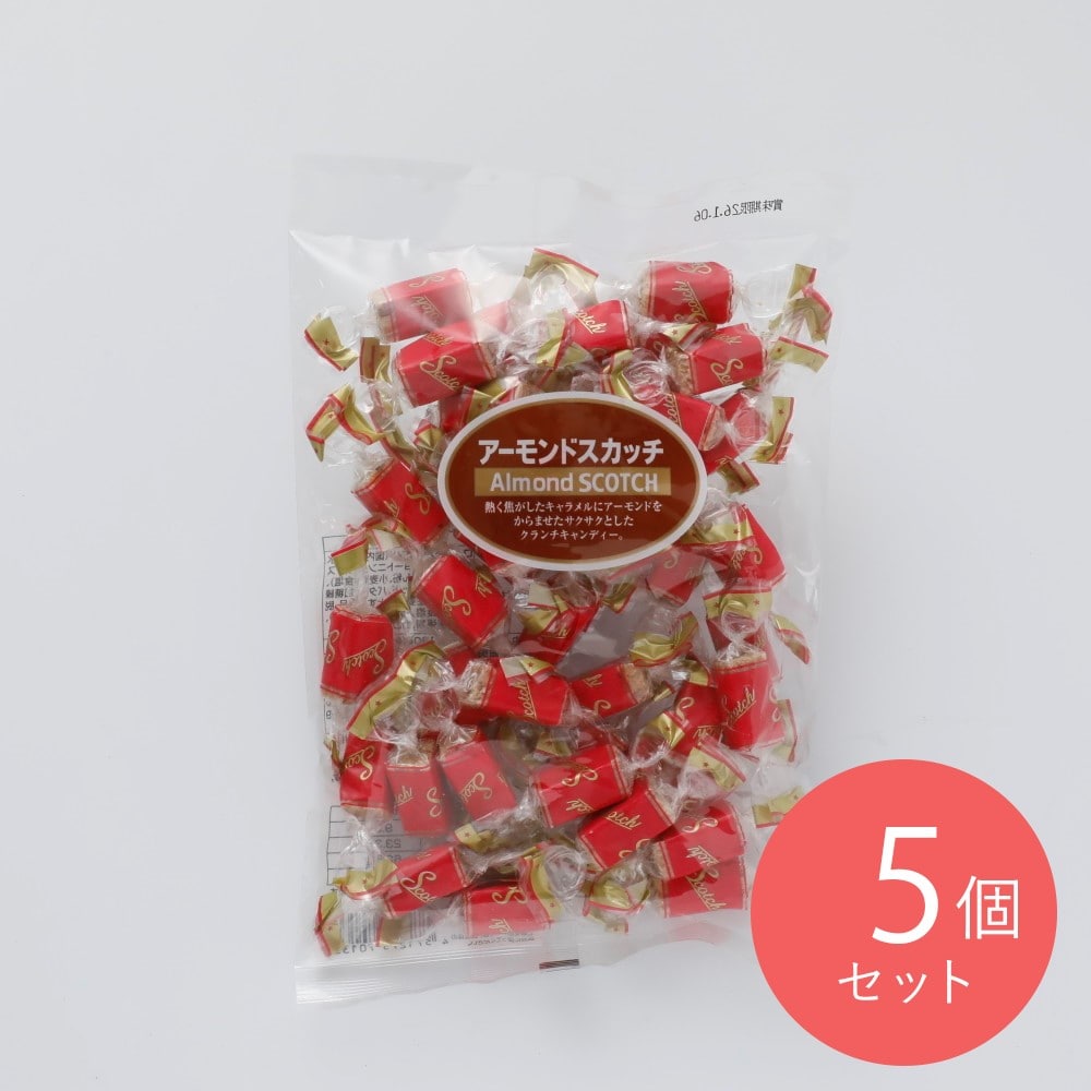 リズミックアンドベル アーモンドスカッチ 130g×5個