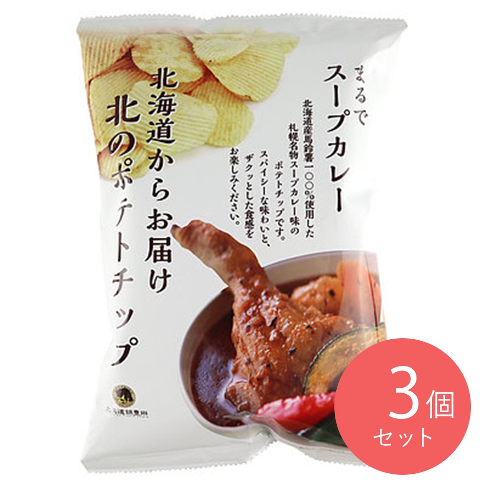 北海道錦豊琳 北のポテトチップ スープカレー味100g×3個