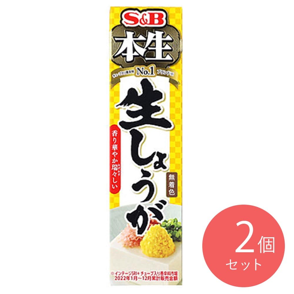 エスビー食品 本生 生しょうが 40g×2個