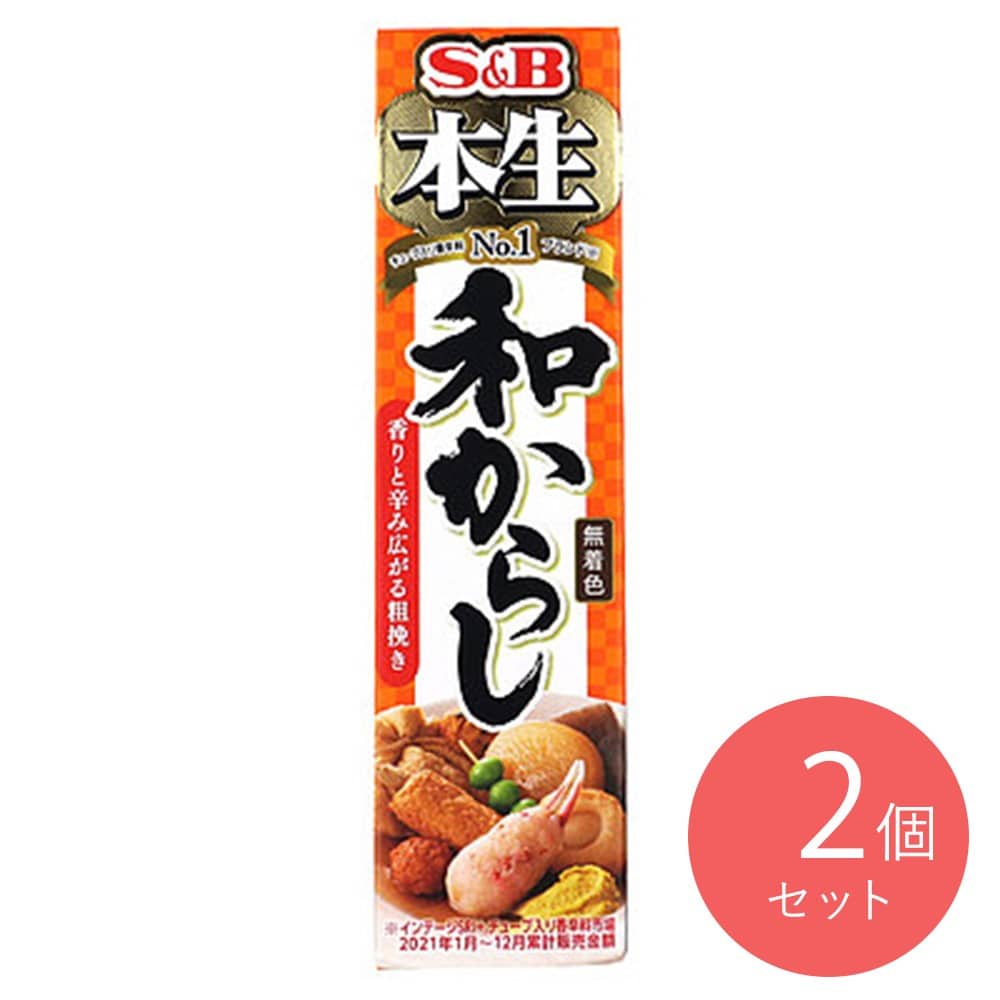 エスビー食品 本生和からし 43g×2個