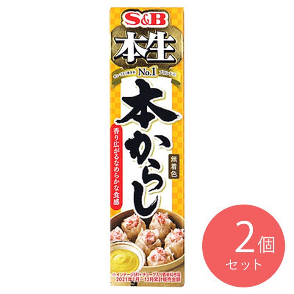 エスビー食品 本生本からし 43g×2個