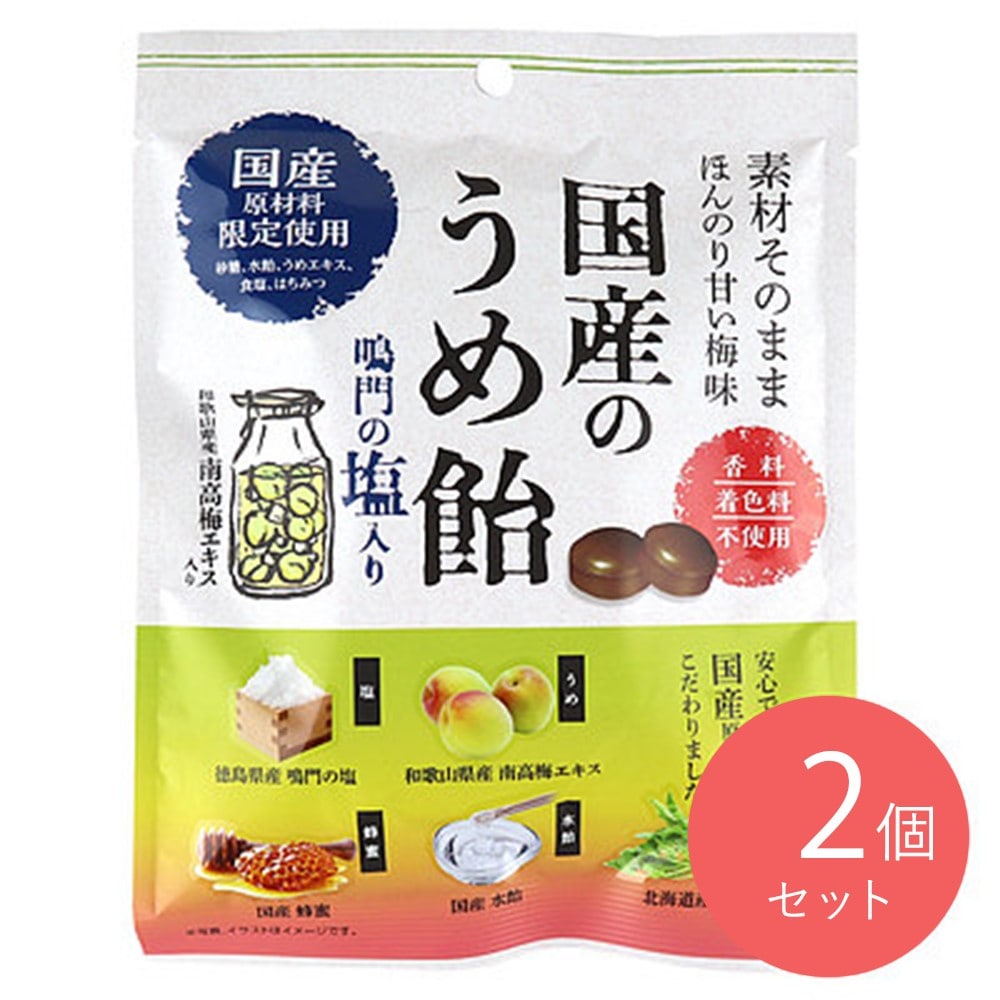 加藤製菓 国産うめ飴 70g×2個