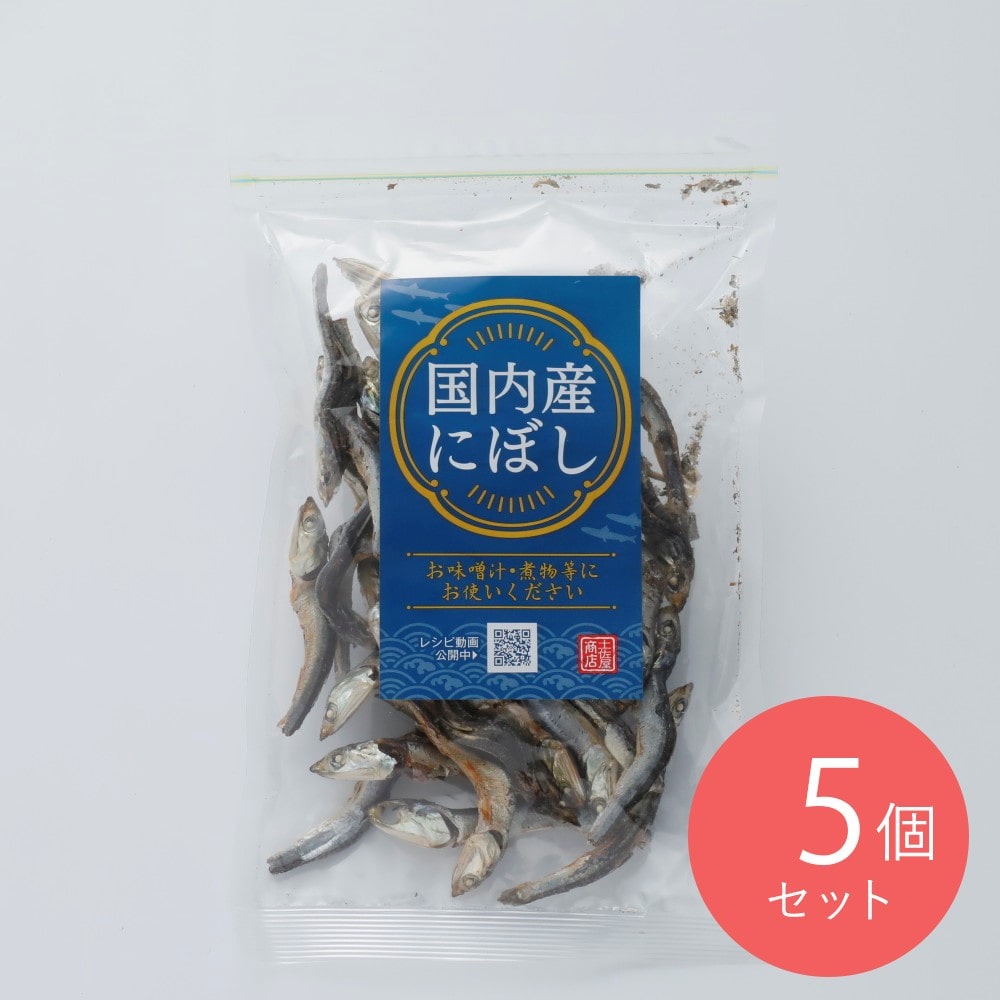 土佐屋商店 国内産にぼし 100g×5個