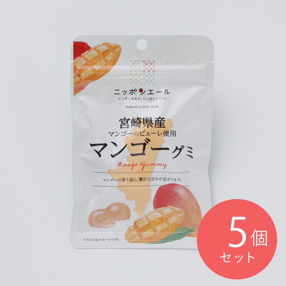 全農食品 宮崎県産マンゴーグミ 40g×5個