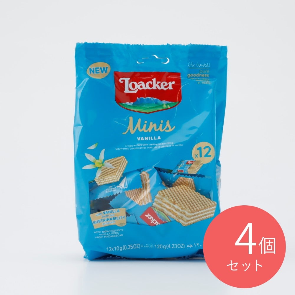 ロアカー ミニーズバニラ 120g×4個