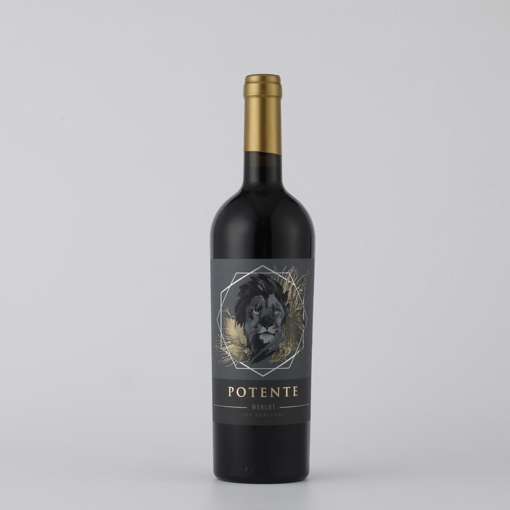 ポテンテ メルロ ルビコーネ 750ml