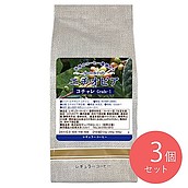 【お取り寄せ】【WN】サンパウロコーヒー エチオピア イルガチェフェG1　水洗式 200g×3袋【豆】| 沖縄・離島配送不可