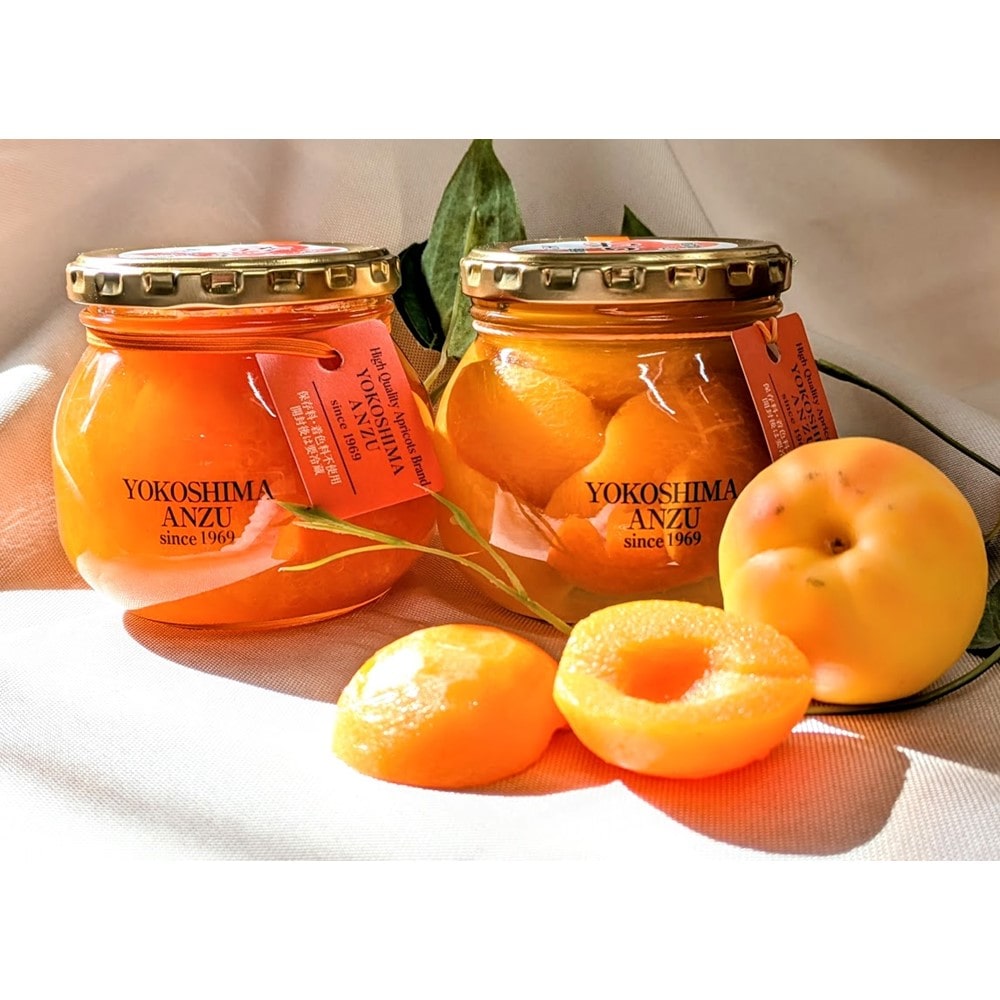 【お取り寄せ】【WR】横島物産 特選 杏4点ギフト | 沖縄・離島配送不可