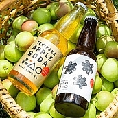 【お取り寄せ】【WN】 もりやま園 テキカカシードル&ソーダ 6本セット | 沖縄・離島不可