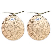 【お歳暮】【WNF】静岡県産 マスクメロン 2玉入 | 着日指定不可 / 11月中旬より順次お届け