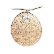 【お歳暮】【WNF】静岡県産 マスクメロン 1玉入(約1.2kg) | 着日指定不可 / 11月中旬より順次お届け