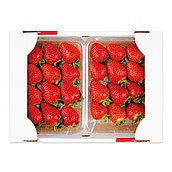 【お歳暮】【WNF】福岡県産 あまおういちご(デラックス)  2パック入| 12月1日より順次お届け