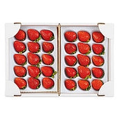 【お歳暮】【WNF】栃木県・茨城県産 栃乙女いちご 15粒