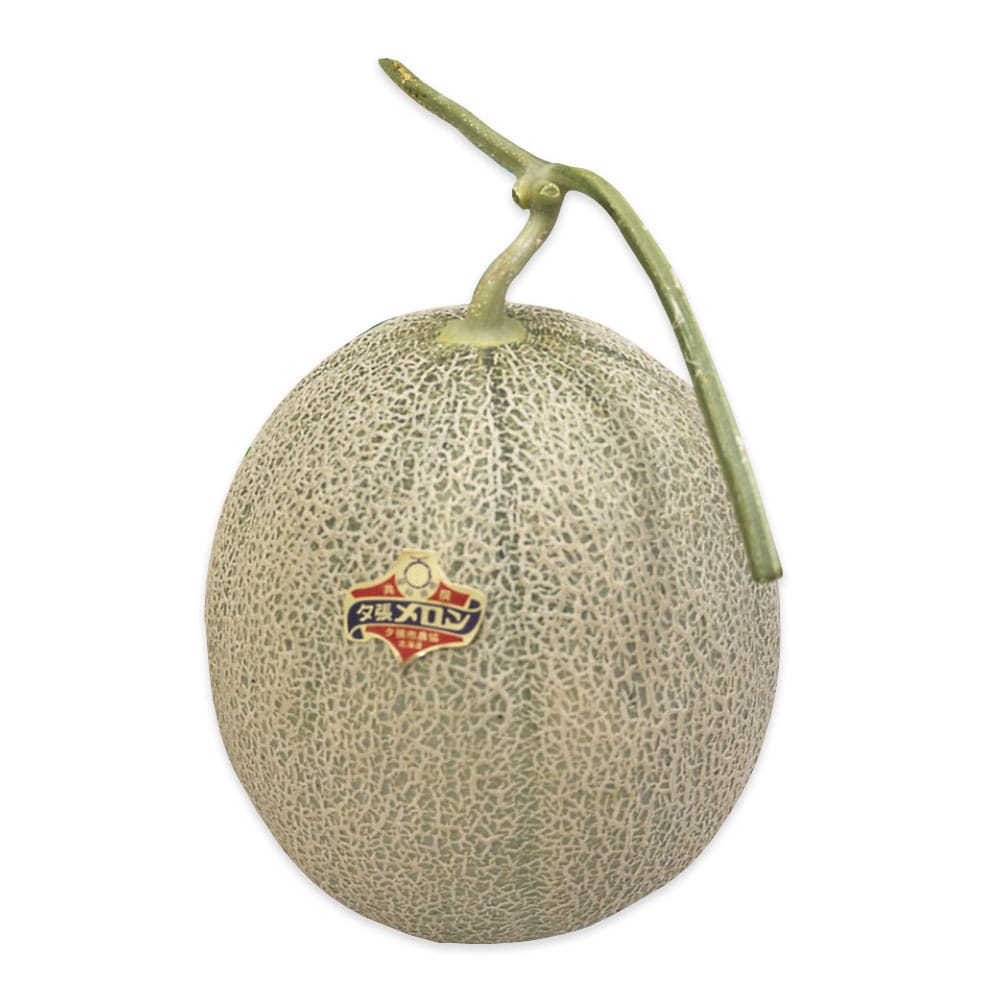 【お中元】【WNF】北海道産 夕張メロン 1玉入(約1.5kg) | 着日指定不可 / 沖縄・離島配送不可 / 7月上旬より順次お届け